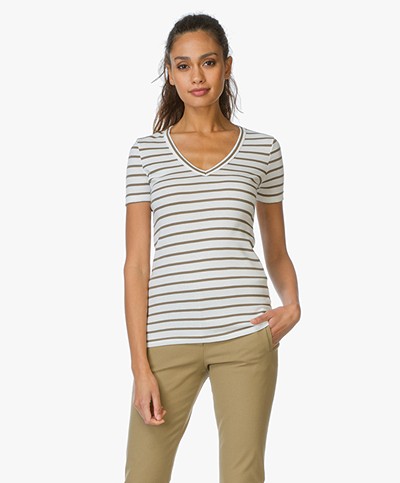 Petit Bateau T-shirt with Stripes - Lait/Litop